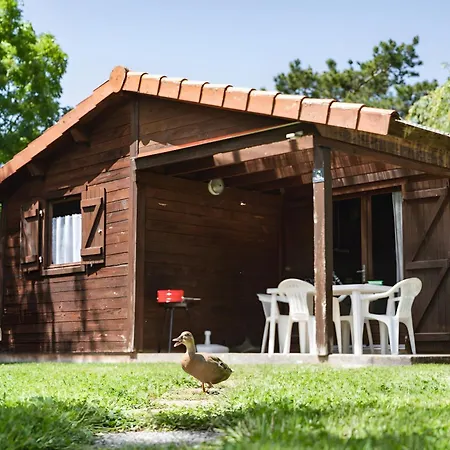 Bois 8 Domaine Les Epinettes * Saint-Gervais (Vendee)