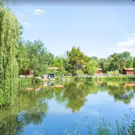 Bois 8 Domaine Les Epinettes *