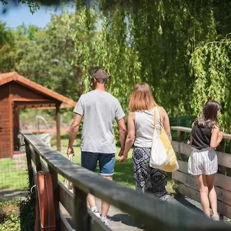 Bois 8 Domaine Les Epinettes *