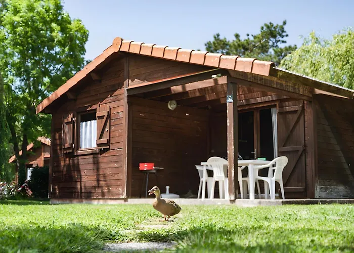 Bois 8 Domaine Les Epinettes * 圣热尔韦