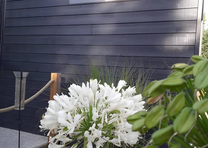 营地 Bois 8 Domaine Les Epinettes 圣热尔韦