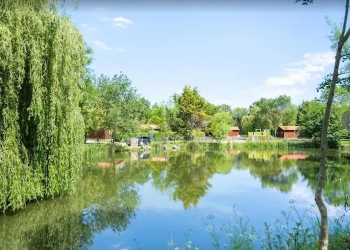 Bois 8 Domaine Les Epinettes *