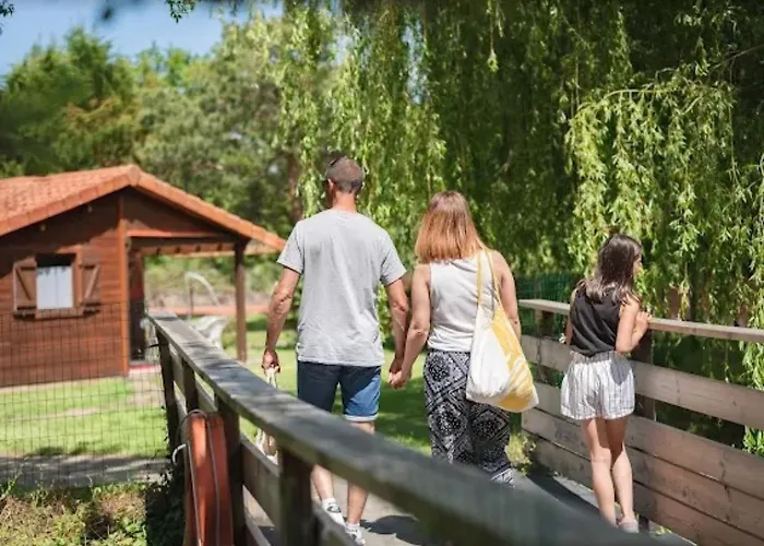 Bois 8 Domaine Les Epinettes *